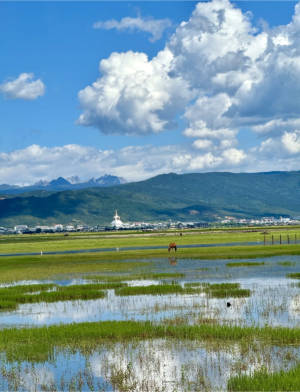 Napa Sea View Area Shangri La