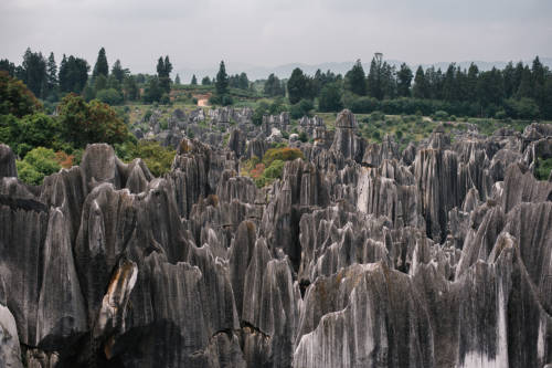 The Stone Forest or Shilin