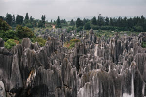 The Stone Forest or Shilin