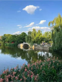 翠湖公园