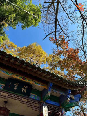 翠湖公园