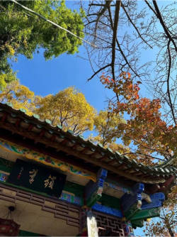 翠湖公园