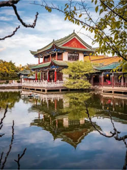 翠湖公园